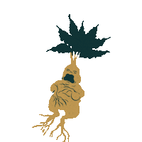 Harry Potter Baby Sticker