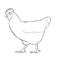 eatoutoften chicken farm star provisions starprovisions Sticker