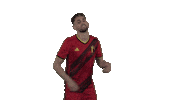 Red Devils Football Sticker by Royal Belgian FA