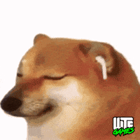 Dog Meme Win GIF by WTF Leagues