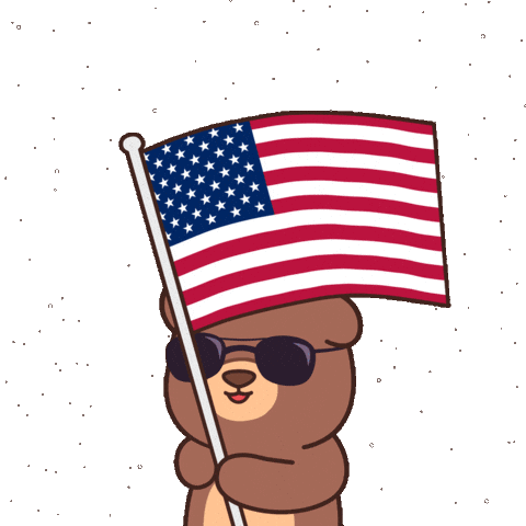 United States Celebration Sticker by BEARISH