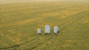 channel zero butchers block GIF by SYFY