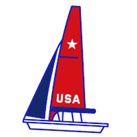 Summer Gold Sticker by Team USA