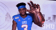 College Sports Ncaa GIF by SMU Football