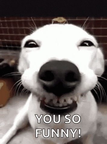 Dork GIF by memecandy