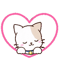 Cat Sticker