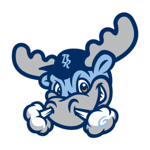 bluerocks giphyupload baseball wilmington wilmington blue rocks Sticker