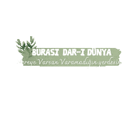 Gonulmihrabi Dünya Sticker
