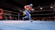 lucha libre mexico GIF