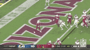 Arizona Cardinals Football GIF by NFL