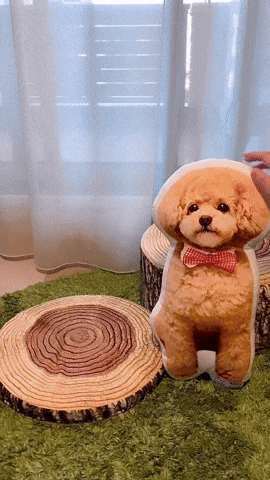 cuteanimalland giphyupload GIF