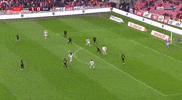 Futbol Samsunspor GIF