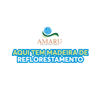 amarusustentabilidade amaru amarusustentabilidade amaru sustentabilidade madeira reflorestamento amaru Sticker