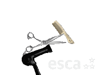 Hair Esca Sticker