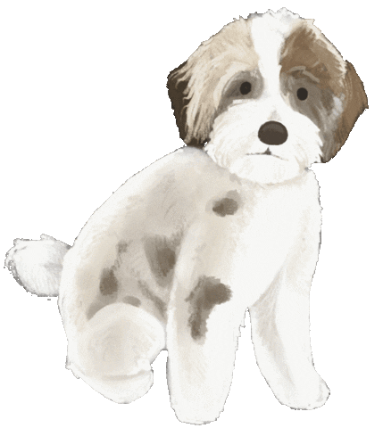Illustration Puppy Sticker