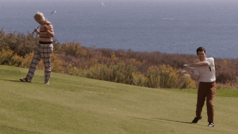 GIF by Adult Swim