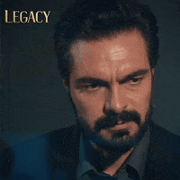 Legacy Emanet GIF by Eccho Rights
