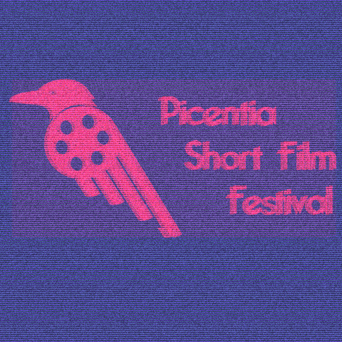 picentiashortfilmfeestival giphyupload short film film festival picentia GIF