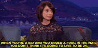 teamcoco frogs kate micucci GIF