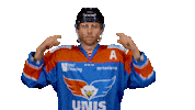 unisflyers 10 eagles flyers nederland Sticker