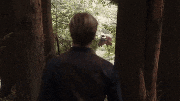 when calls the heart love GIF by Hallmark Channel