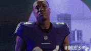 Football Celebrate GIF by Baltimore Ravens