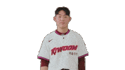 Kbo Sticker by Kiwoom Heroes Baseball Club