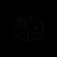 FuzzWahFilm fuzzwah GIF