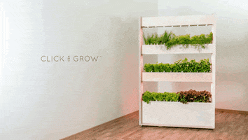 the wall farm GIF by Product Hunt