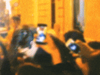 Francisco Lachowski Chico GIF