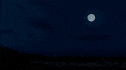 full moon omg GIF by Showtime