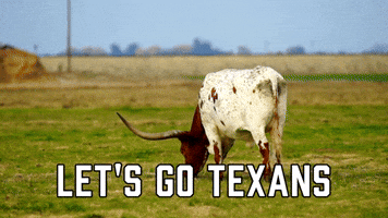 Let's Go Texans