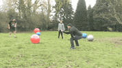 WheresMyChallenge exercise challenge stupid dumb GIF