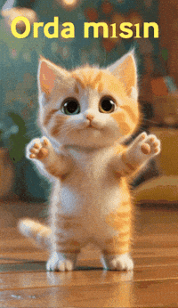 Crypto Warning GIF by kriptohukukcu