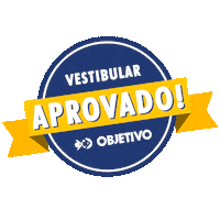 objetivobaixada escola educacao colegio santos Sticker