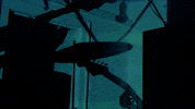 subpoprecords sub pop subpop omni networker GIF