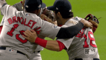 Happy Red Sox GIF by MLB