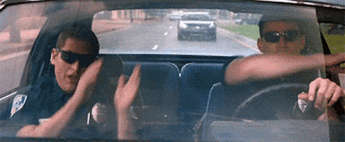 day police GIF