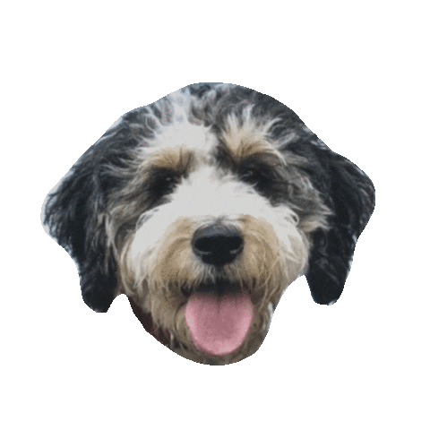 Rosie Sticker by Ardent Dog