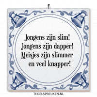 Humor Nl GIF by Tegelspreuken.nl