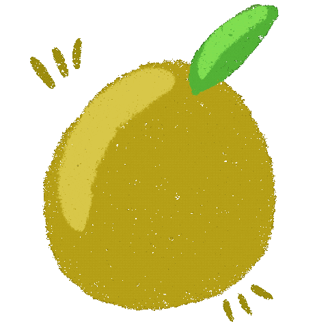 Orange Fruit Sticker