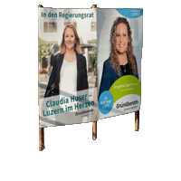 glpemmenhochdorf glp grunliberale regierungsrat wahlen2023 Sticker