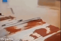 Sad Chicken GIF