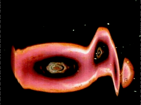 animation art GIF by James White - Fine Artist