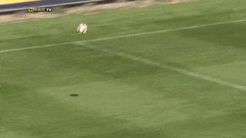 michigan soccer francis atuahene GIF by Michigan Athletics