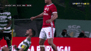 Come On What GIF by Sport Lisboa e Benfica