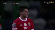 Sl Benfica What GIF by Sport Lisboa e Benfica