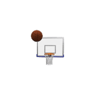 Sport Basketball Sticker