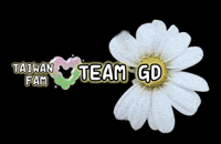 G Dragon Korea GIF