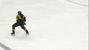 Quinn Hughes Hockey GIF by Vancouver Canucks